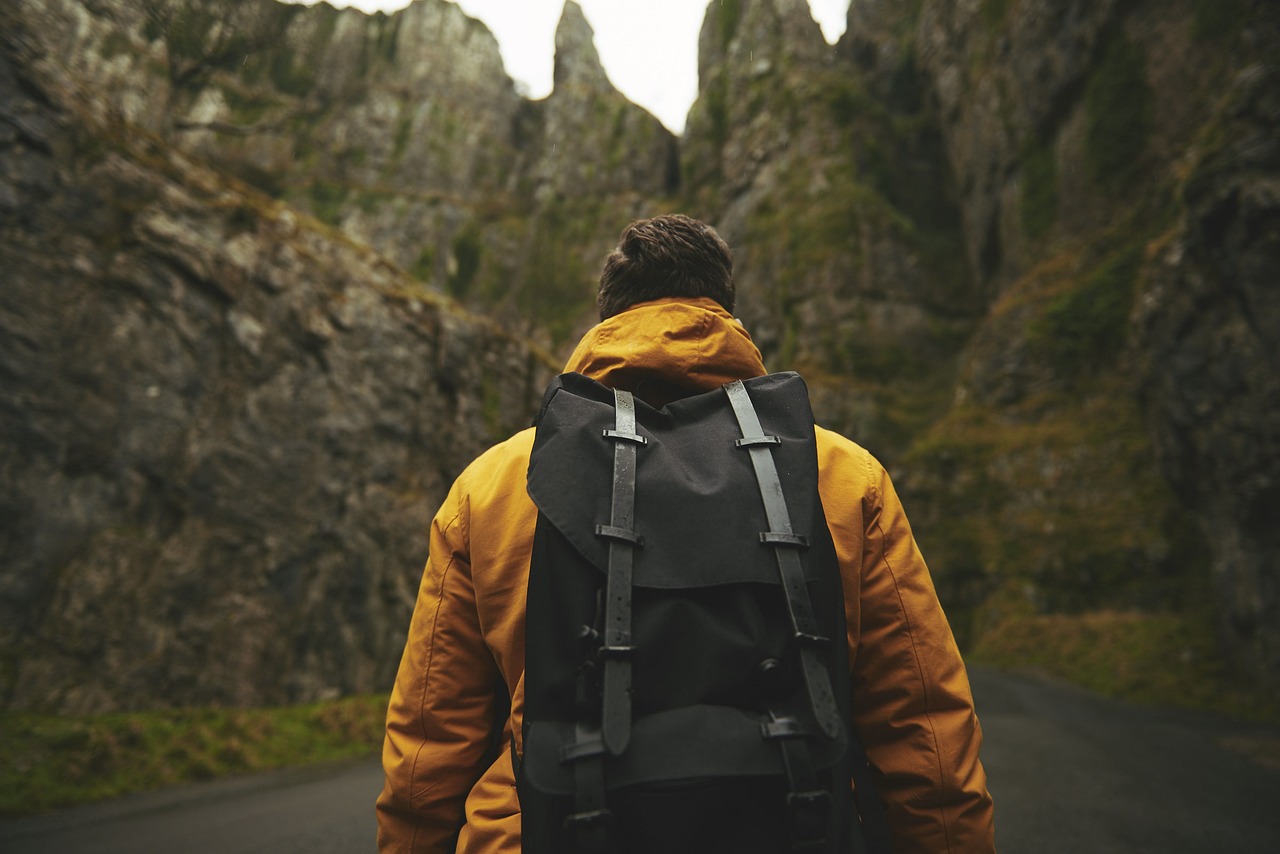 traveler