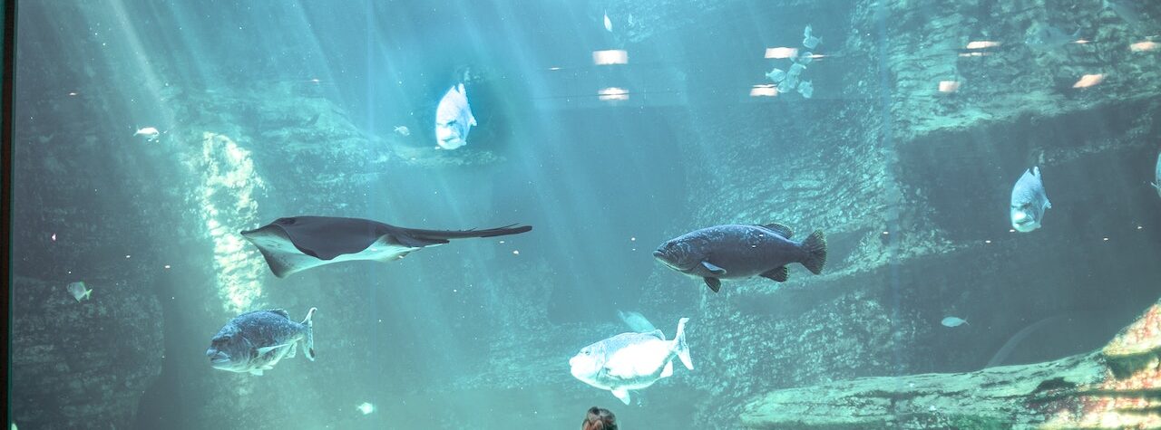 Factors To Consider When Choosing A Travel Destination